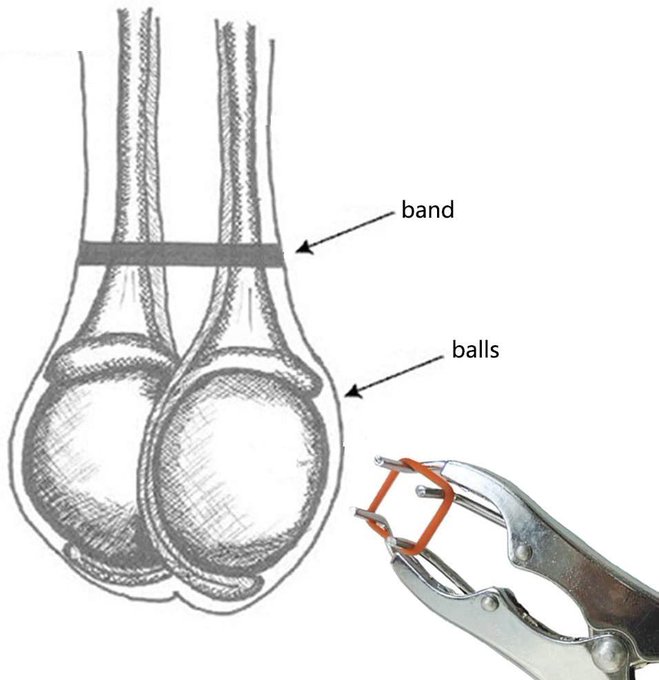 @EmilySelene4 Wait till he&rsquo;s asleep and&hellip;. https://t.co/hEUPwsq1Nw<a class="tags" target="_blank" title="On Twitter" href="/?out=eyJ0eXAiOiJKV1QiLCJhbGciOiJIUzUxMiJ9.eyJpYXQiOjE3MjQ4MjQ1MzUsImlzcyI6InR3cG9ybnN0YXJzLmNvbSIsIm5iZiI6MTcyNDgyNDUzNSwiZXhwIjoxNzU2MzYwNTM1LCJyZWRpcmVjdF91cmwiOiJodHRwczovL3R3aXR0ZXIuY29tL0VtaWx5U2VsZW5lNCJ9.rTgbo-ffOTYu547_ieJok1PFbRmitU4ts4w04PVhi6QMrNKdIkhW0NF0Yf3Naqf1Y3nQRDo9z_oteDWBk49ljw">@EmilySelene4</a><a href="/tag/sph"class="tags"><span>#sph</span></a>