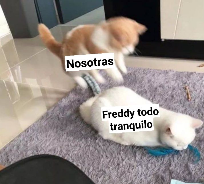 Marlen88144624's tweet photo. #FREDDYISBACK #NMIAE https://t.co/FA5QX6zcvy