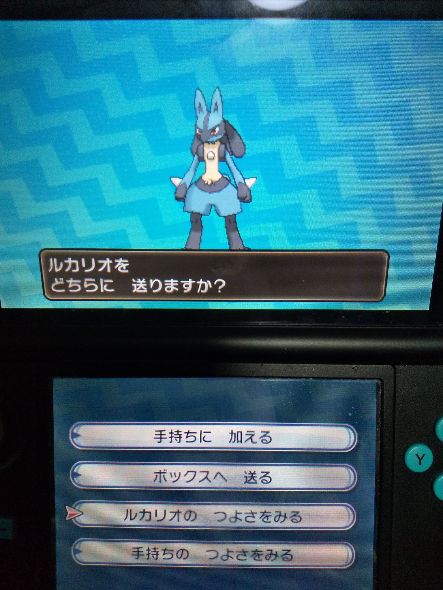 野口きほ Im Looking For Only Rose 孤独の創作家見習い 小説第一部完 2つの作品の違い ポケットモンスター ブリリアントダイヤモンド シャイニングパール 公式サイト T Co Gluak7slik 地下洞窟での秘密基地やボールカプセルやコンテスト