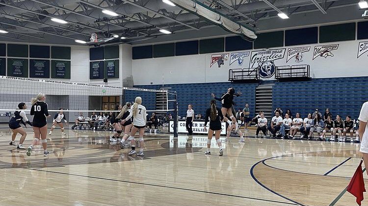 C.H.A.O.S. tweet media