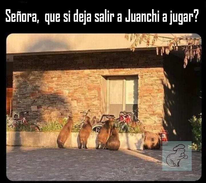 Será que dejan salir a jugar a Juanchi?? <a href="/CarpinchoCoin/">Carpincho</a>
