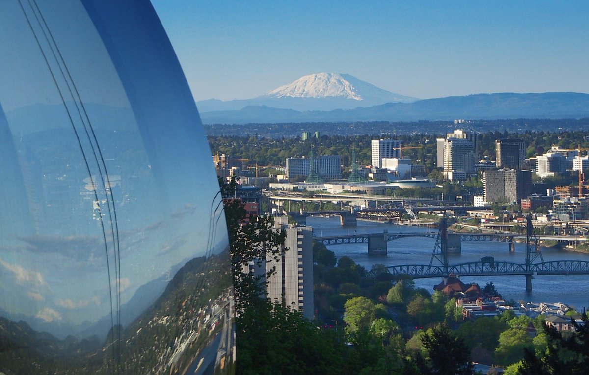 Joseph Shatzel (@clotmaster) on Twitter photo For all those finishing internal medicine residency in 2021 please consider applying to our 1 year fellowship program in hemostasis & thrombosis. Come to Portland and work with <a href="/Bloodman/">Bloodman</a> <a href="/bsamuelson_md/">Bethany Samuelson Bannow MD, MCR</a> @Svematologist and many other amazing eductors.
#hematology #meded #foamed For all those finishing internal medicine residency in 2021 please consider applying to our 1 year fellowship program in hemostasis & thrombosis. Come to Portland and work with <a href="/Bloodman/">Bloodman</a> <a href="/bsamuelson_md/">Bethany Samuelson Bannow MD, MCR</a> @Svematologist and many other amazing eductors.
#hematology #meded #foamed