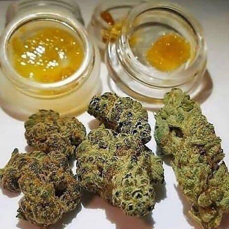 facebook.com/Weeds-plugs-10…