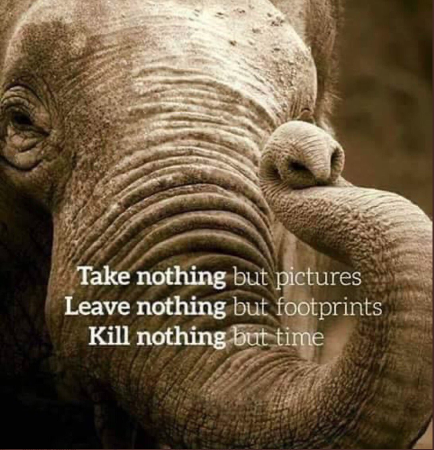 PayItFo72555724's tweet photo. When in #nature...
#takenothingbutpictures 
#leavenothingbutfootprints 
#killnothingbuttime 
#pictures #footprints #time 
#payitforward https://t.co/HcTP2UHyvv