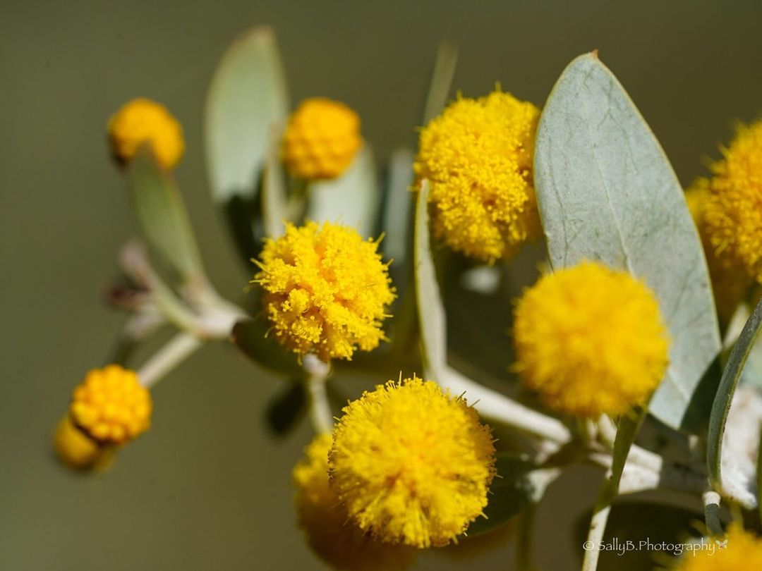 تويتر مشاهدة تغريدة Nonbiriperth على Twitter