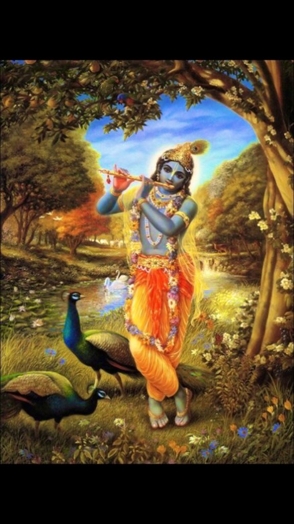 Spiritual Vegetarian tweet media