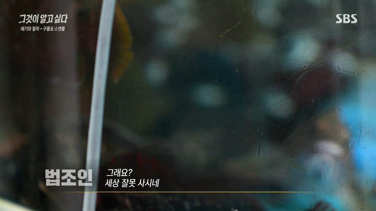 museun_happen's tweet photo. 세상 잘못 살았던 SBS 피디 https://t.co/2FY8IBQu36