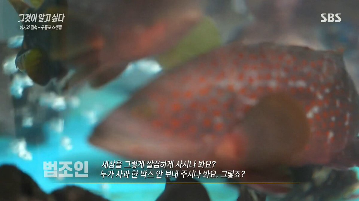 museun_happen's tweet photo. 세상 잘못 살았던 SBS 피디 https://t.co/2FY8IBQu36