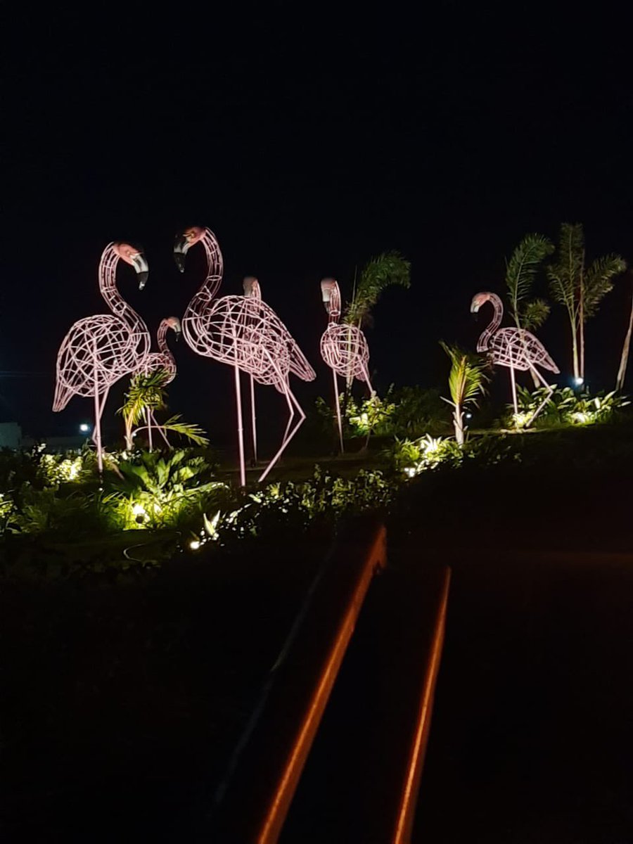 arvindkumar_ias's tweet photo. Flamingoes @ Patancheru intersection on #ORR

@KTRTRS 
@AShilpag https://t.co/glSye3e3ef