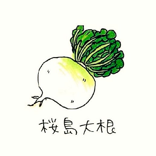 桜島大根のtwitterイラスト検索結果