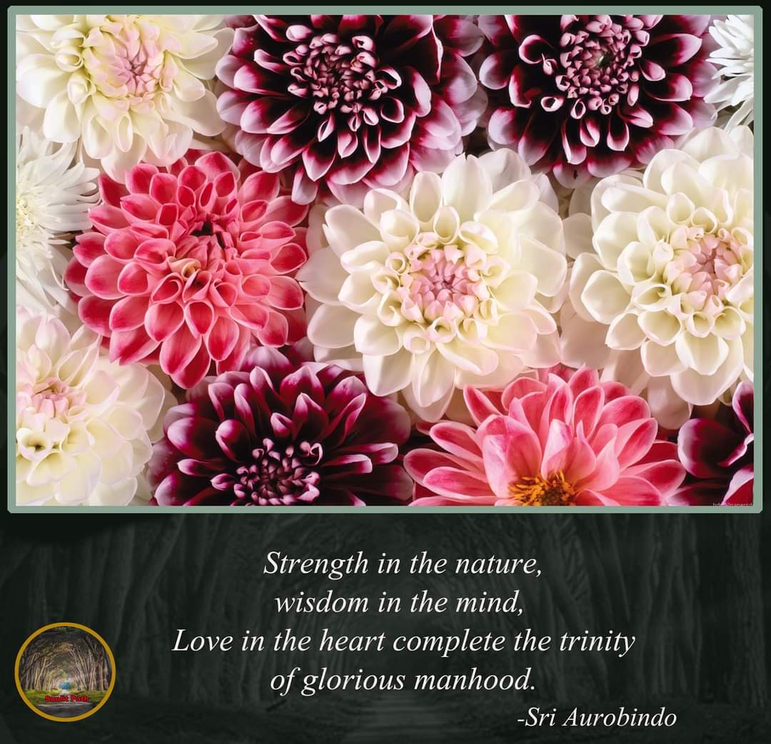 PathSunlit's tweet photo. Quote of the Day 
#qouteoftheday #qoutes #goodmorning #dailymotivation #SriAurobindo #TheMother #sunlitpath https://t.co/Cujh9l4y1M
