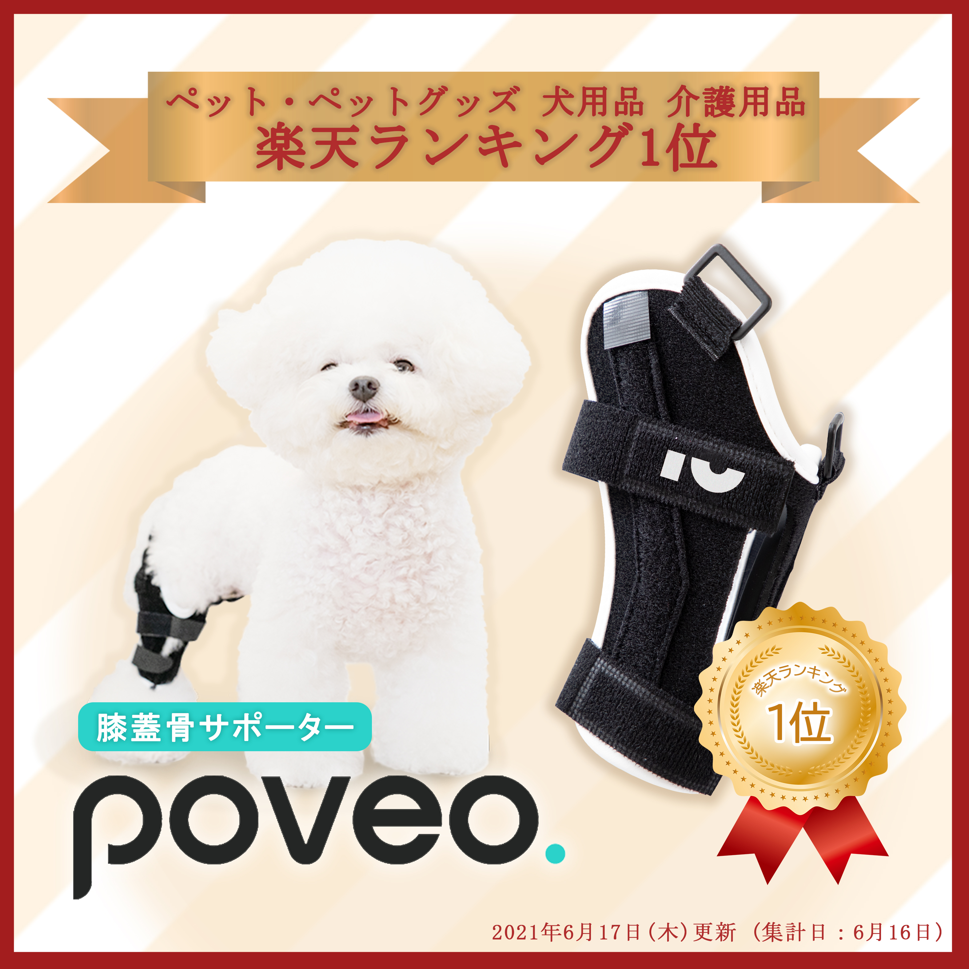 矯正 生ぬるい ポベオ膝蓋骨サポーター【レベル2 /右】パテラ 矯正 生ぬるい ポベオ膝蓋骨サポーター【レベル2 /右】パテラ