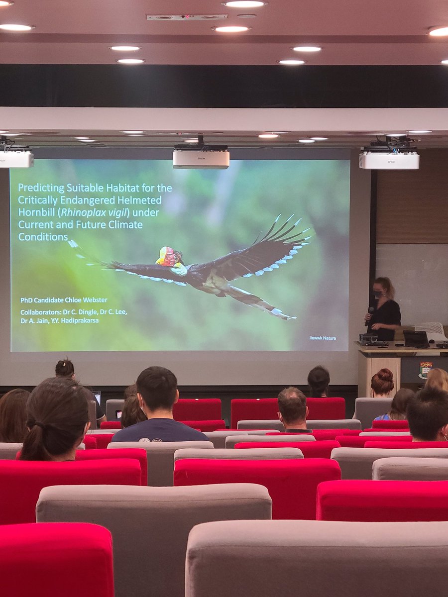 IngaContiJerpe's tweet photo. @ChloeWebster19 gives us the last talk before coffee break: "Species distribution modeling to conserve the critically endangered helmeted hornbill" #EBRS2021 https://t.co/PzAgLObCSG