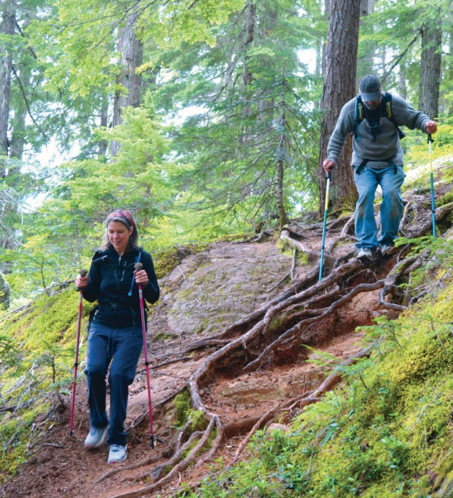 UrbanPolingInc's tweet photo. Theres something fundamentally healthy about the outdoors! Why not take a walk? #GetPoling #UrbanPoling #SelfCare https://t.co/q1WFrFq7Ii