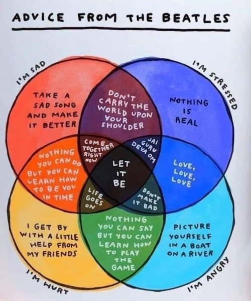 ndpthepoetress's tweet photo. Advice from The Beatles

#advice #TheBeatles #iamsad #iamstressed #iamhurt #iamangry #feelings #sad #stressed #hurt #angry #feelingsmatter 
#youmatter💡#YouAreWattMatters💡 https://t.co/xsBQ7HiYI8