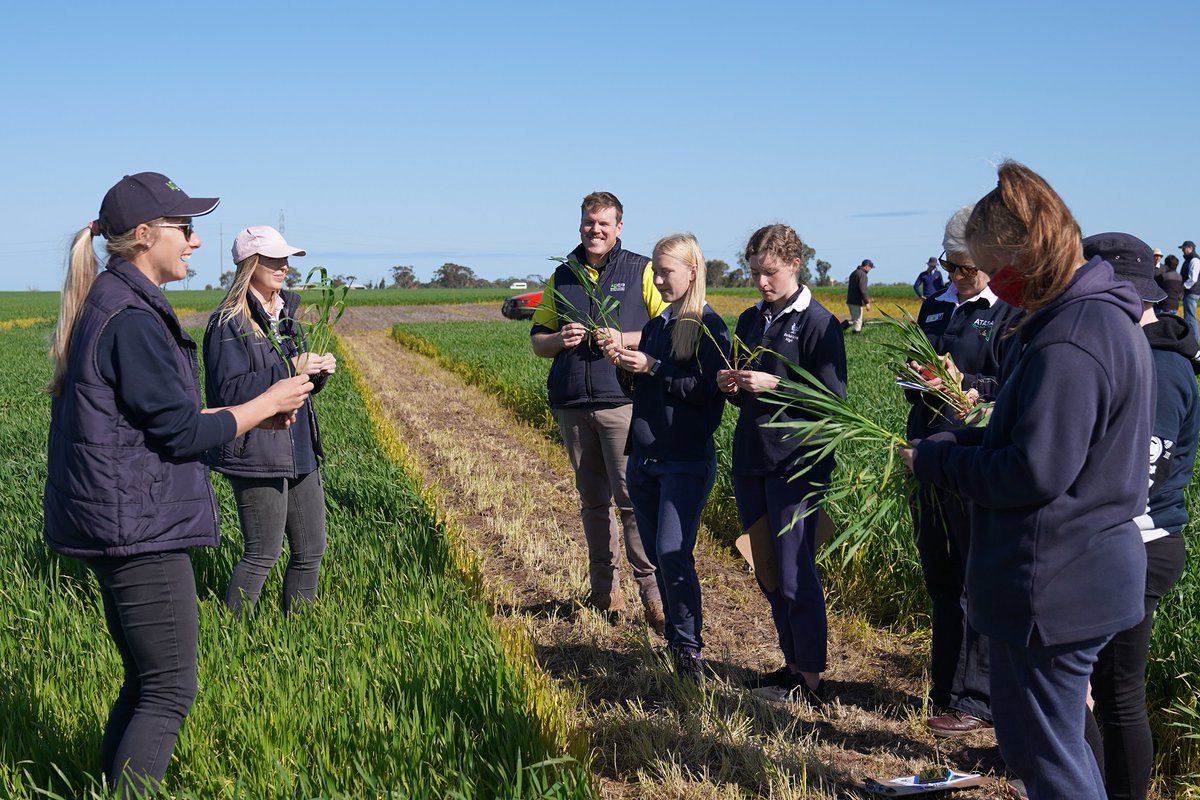 SAGrainTrust's tweet image. SAGIT-funded student crop comp run by @AgXtra was in focus this week when SAGIT Project Manager Malcolm Buckby and Scientific Officer Jenny Davidson met up with students and the @AgXtra team at the comp's Roseworthy field day. @agromick82 #cropcomp #agxtra #grainindustryfuture