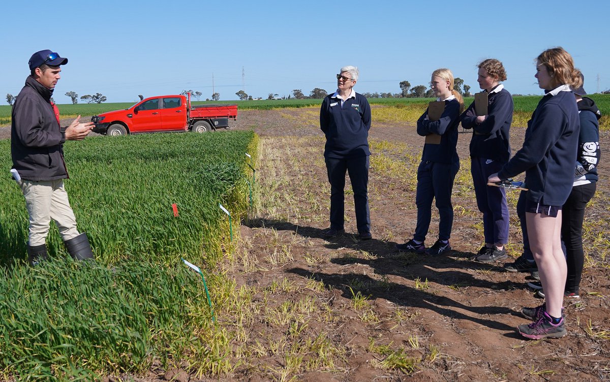 SAGrainTrust's tweet image. SAGIT-funded student crop comp run by @AgXtra was in focus this week when SAGIT Project Manager Malcolm Buckby and Scientific Officer Jenny Davidson met up with students and the @AgXtra team at the comp's Roseworthy field day. @agromick82 #cropcomp #agxtra #grainindustryfuture
