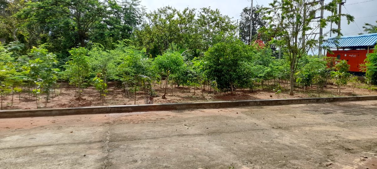 NAYAGARH FOREST DIVISION tweet media