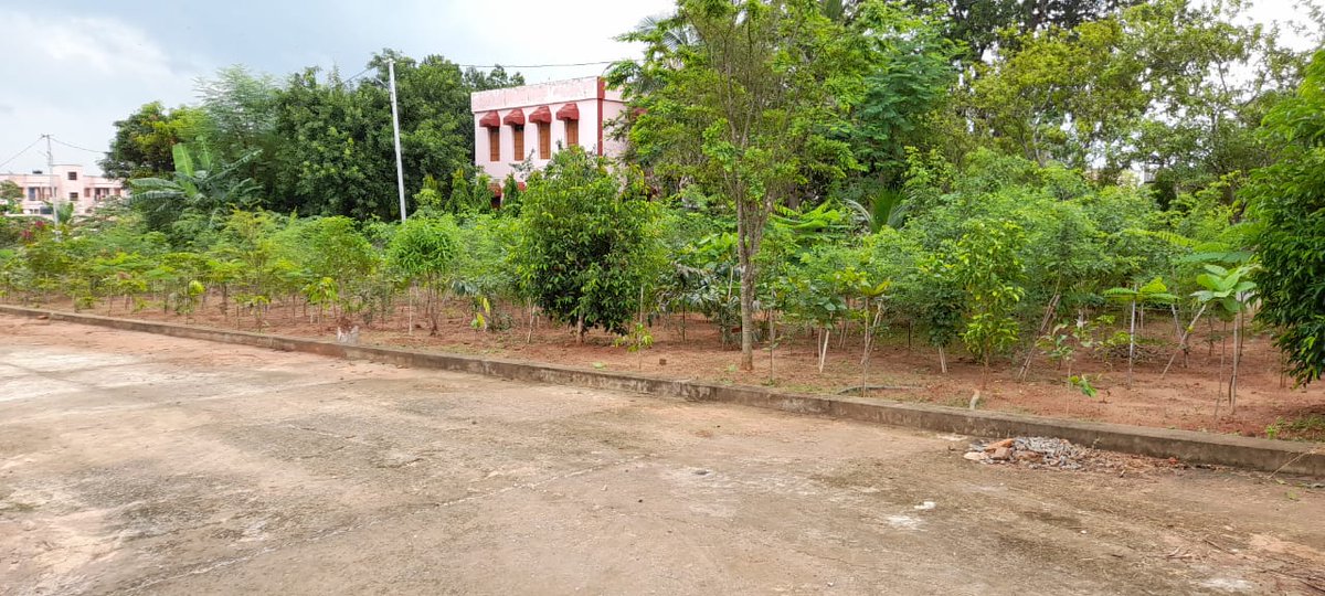 NAYAGARH FOREST DIVISION tweet media