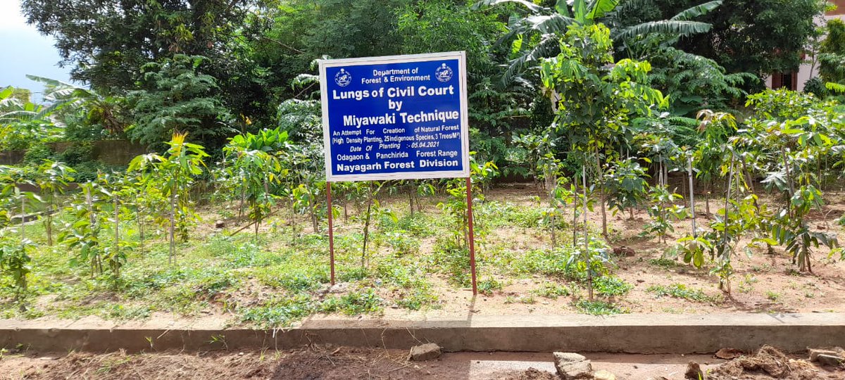 NAYAGARH FOREST DIVISION tweet media