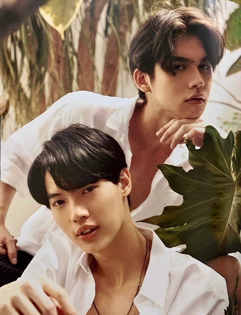 atheiaorithia's tweet image. ——— an alternate universe ———

️️
️️
️️                           KIWI

️️     "Are you conforming to the fitness of things? Doing what's expected?"