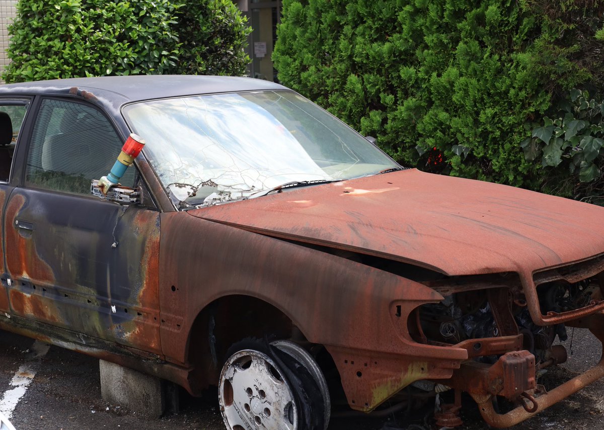 たんぺい Tanpei K Twitter