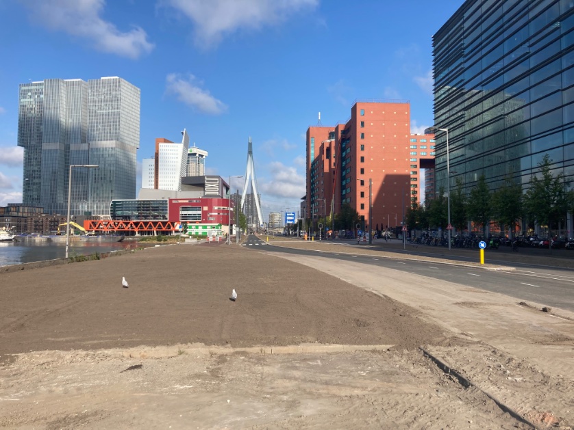 Rini Biemans tweet media