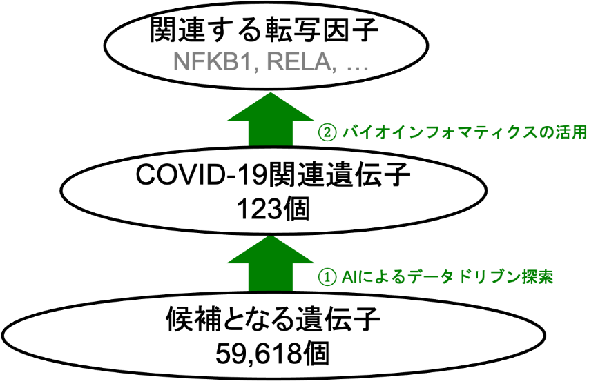 tec_u_ryukyu's tweet image. 【R3-No.9】AIで新型コロナウイルス感染症に関連する遺伝子群を特定～バイオインフォマティクスでコロナに打ち勝つ基礎づくり〜
tec.u-ryukyu.ac.jp/infomation/202…