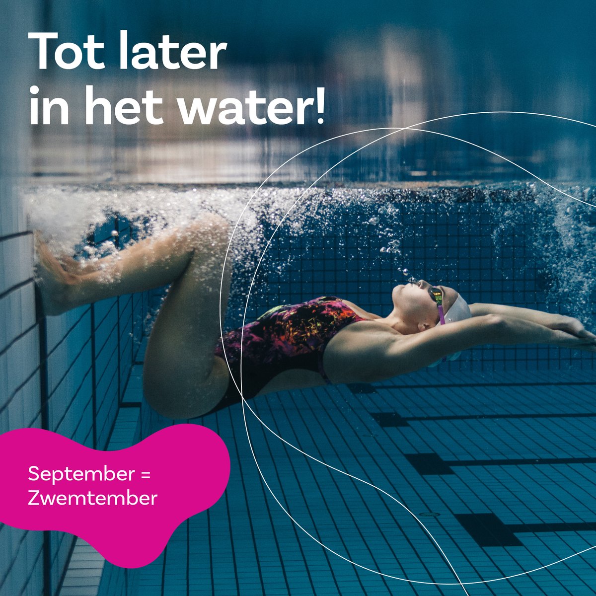 September is zwemtember. Beleef een
complete workout voor je hele lichaam en herontdek de
energie die zwemmen jou geeft! 🏊‍♀️ Voor een
accommodatie bij jou in de buurt kijk je op
sportfondsen.nl. #zwemtember
#sportfondsengeeftenergie