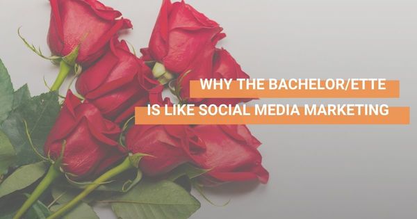DMGroundControl's tweet image. Why The Bachelor/ette Is Like Social Media Marketing SocialSurge upflow.co/l/6lV8