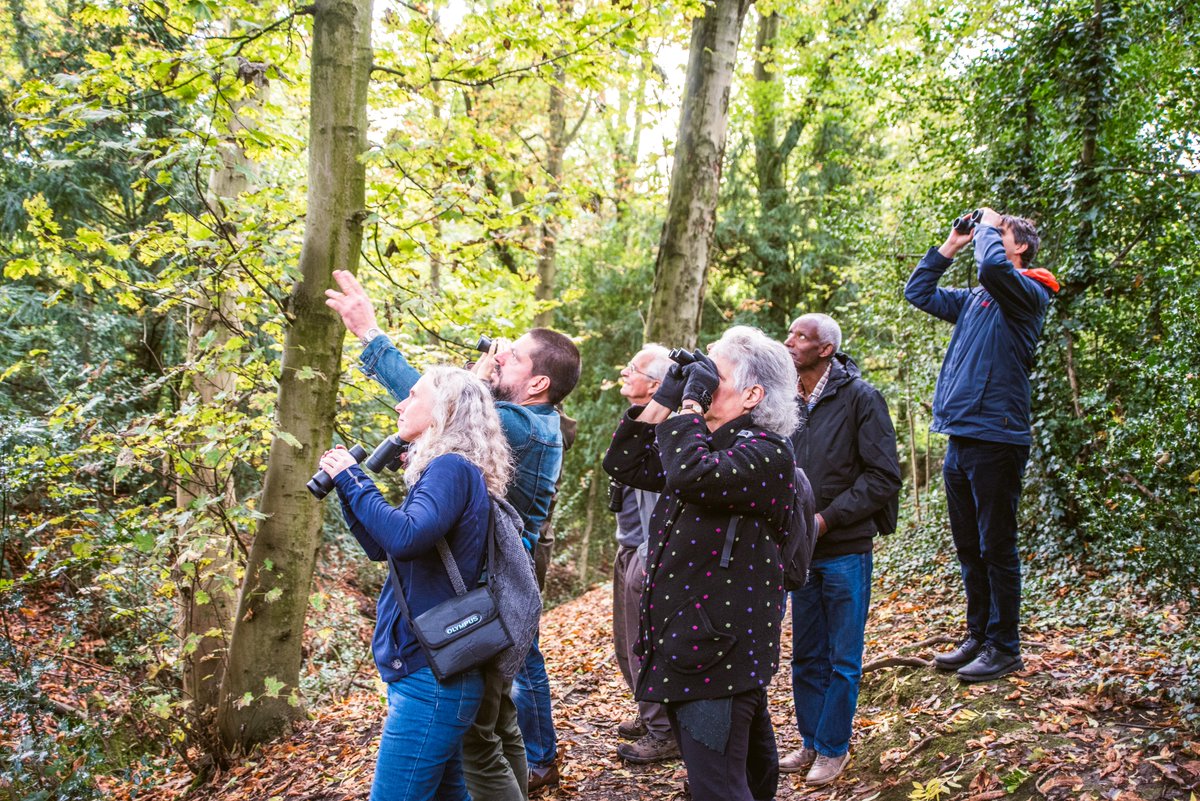 WTBBC's tweet image. Do you enjoy spotting birds? Why not take part in this Saturday's 24-hour #WestMidsAllDayer and record as many species as possible at a site within the West Midlands? Birders old and new can help to provide valuable information about bird populations and it's great fun!