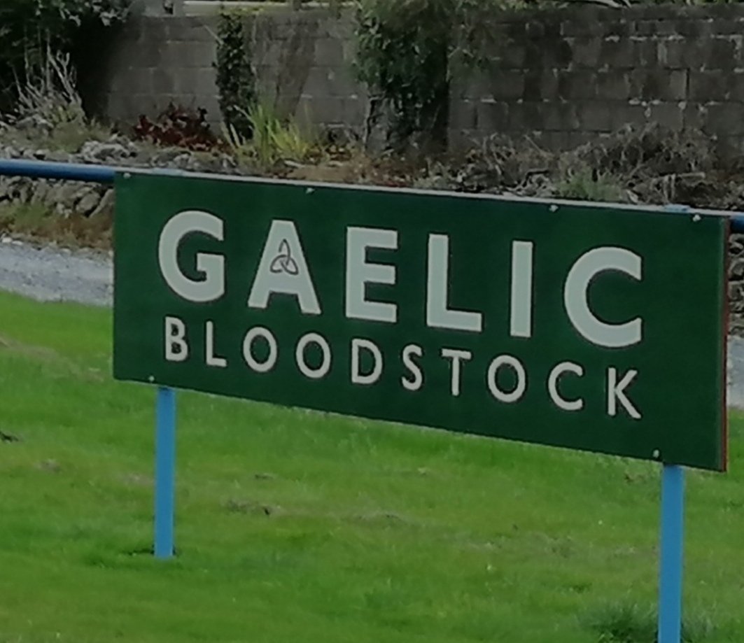 Avondale United FC (@avondaleutdfc) on Twitter photo Great to see one of our Pitchside Sponsors <a href="/GaelicBs/">Gaelic Bloodstock</a> supply Ger Lyons with his 1️⃣0️⃣0️⃣0️⃣th winner as a trainer at <a href="/RoscommonRaces/">Roscommon Racecourse</a> on Monday night with <a href="/ctkjockey/">Colin Keane</a> on board Offiah 👏👏 Great to see one of our Pitchside Sponsors <a href="/GaelicBs/">Gaelic Bloodstock</a> supply Ger Lyons with his 1️⃣0️⃣0️⃣0️⃣th winner as a trainer at <a href="/RoscommonRaces/">Roscommon Racecourse</a> on Monday night with <a href="/ctkjockey/">Colin Keane</a> on board Offiah 👏👏