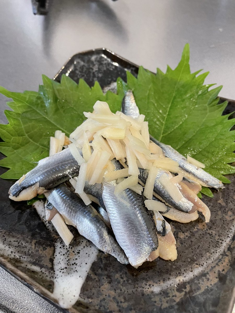 最近の釣行
サビキで小物色々。
イワシって美味いんだよマジで
 #イワシ  #サビキ  #ウルメイワシ  #カタクチイワシ  #南蛮漬け  #酢締め  #アジ
#ワラサ  #イナダ  #ショアジギ  #ジギング  #内房  #外房  #南房  #房総  #モンスターショット  #SHIMANO   #ブリ  #千葉  #釣り  #釣り好きと繋がりたい