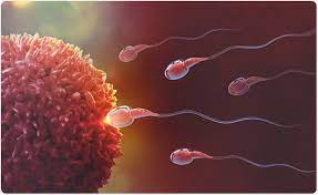 Journal of Fertilization: In Vitro - IVF-Worldwide tweet media