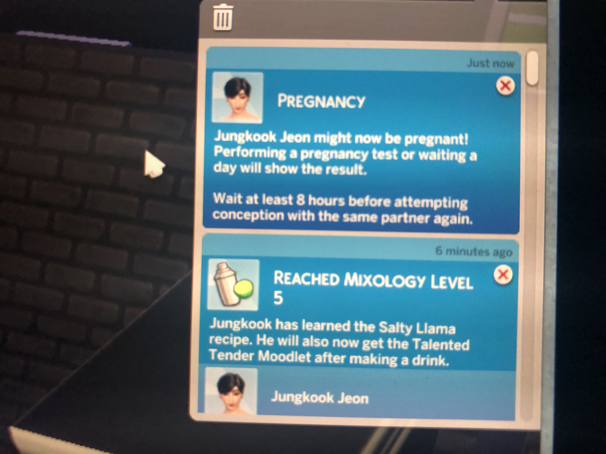 When The Sims Went TOO FAR