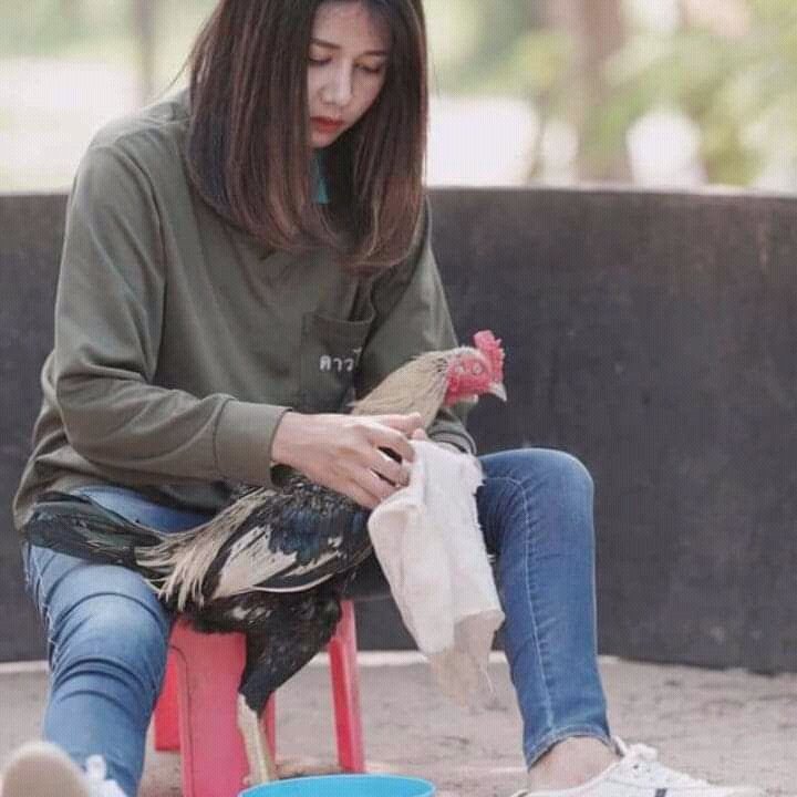 Rangga420 tweet media