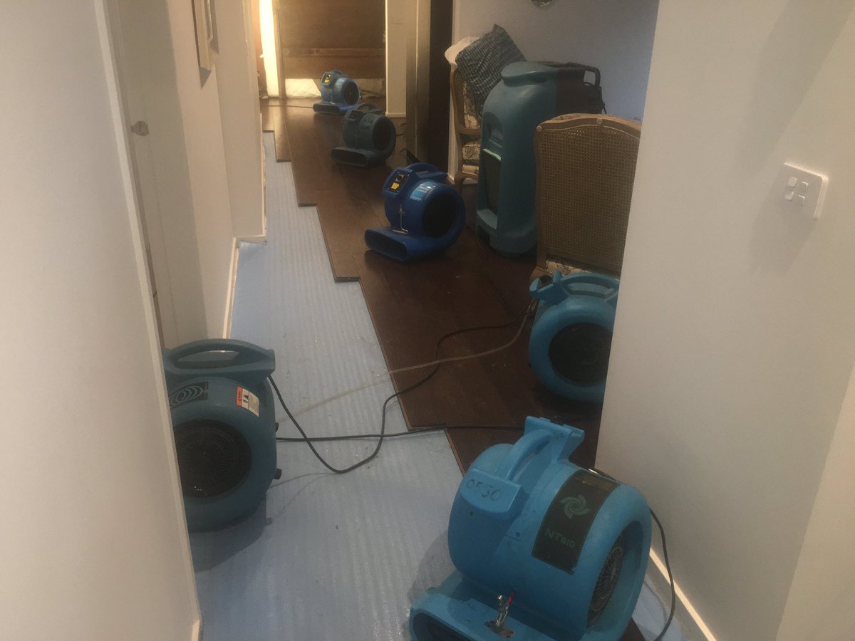 SevenStarCarpetCare tweet media