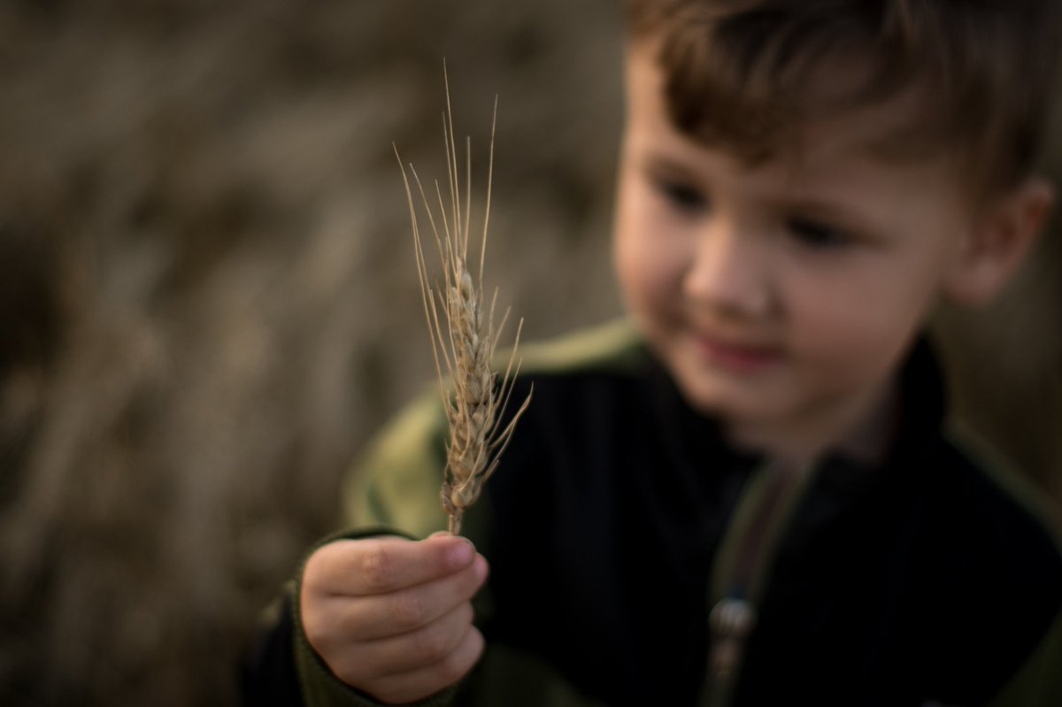 NicoleHWilson33's tweet photo. #Harvest2021 🌾 https://t.co/YrQ6zWiHbb