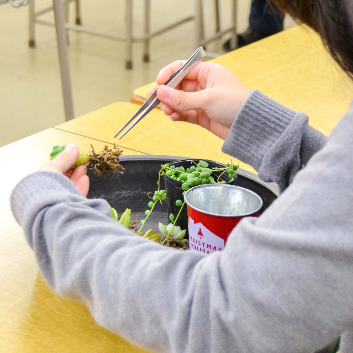 公式 日本ガーデンデザイン専門学校 Garden Jp Twitter 公式 日本ガーデンデザイン専門学校 Garden Jp Twitter