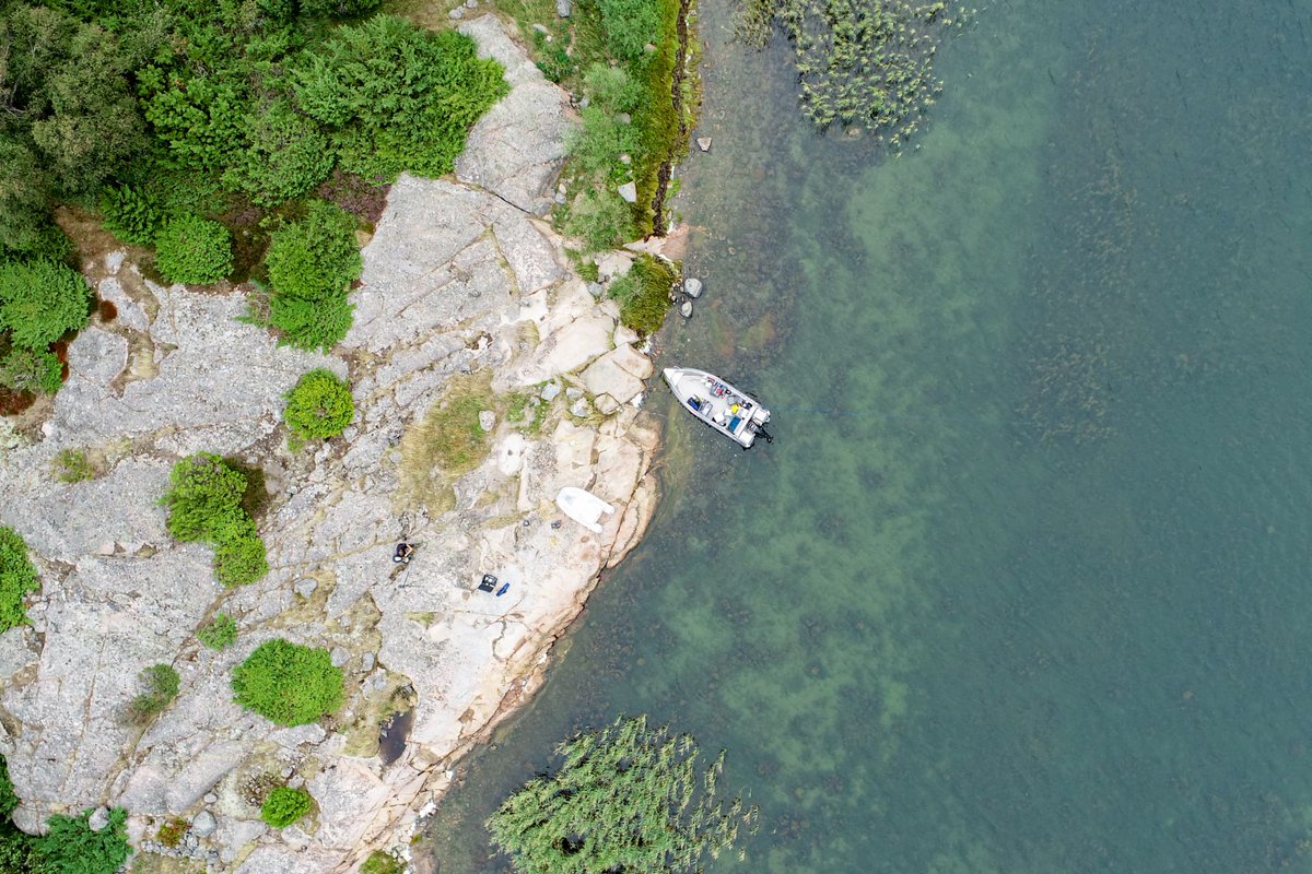 biodiversea_ax's tweet photo. Hösten närmar sig och vädret på Åland börjar bli blåsigt. Men ännu fortsätter jobbet med att kartera laguner kring Kökar. #åland #meriluonto2021 #BaltCF #marinakarteringar @aboakademi #husöbiologiskastation https://t.co/z9a3N8jG9c