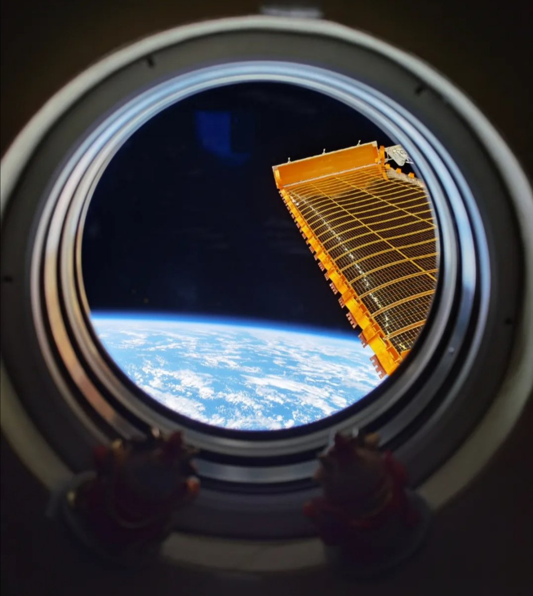 Proxima Astronomie tweet media