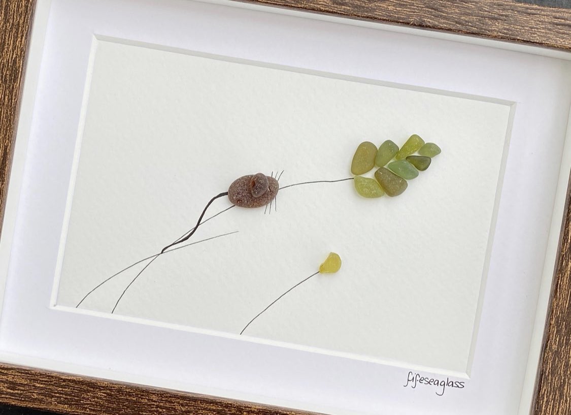A wee harvest mouse on a grass stem. Available in my #etsy shop now.

#earlybiz #smallbiz #mouse #shopscotland #shopindie 

etsy.me/3kx79ao
