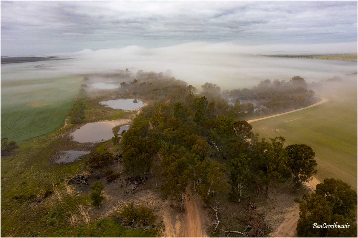 Ben Crosthwaite tweet media