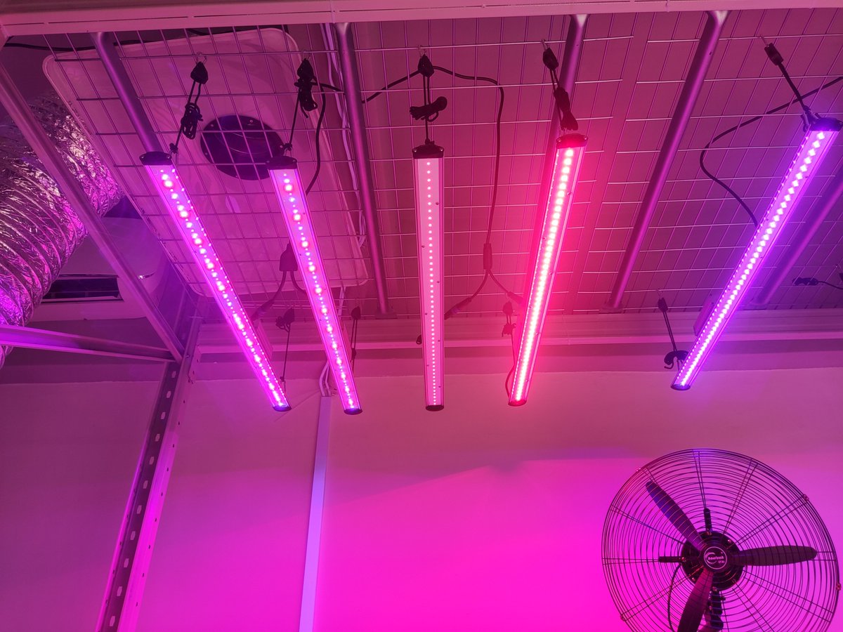 AngelMo39141149's tweet photo. New UV IR bar light,there are many models for you choice,welcome contact me🥰😊😎
Follow this link have a gift for your cannabis.
https://t.co/WnJzfVFChE https://t.co/Nuh4LJVv0V