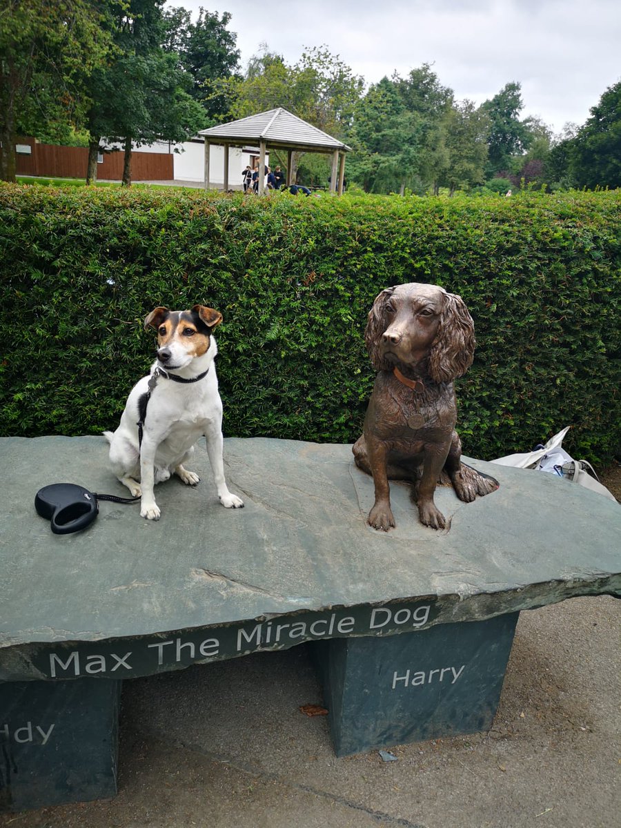 Snoopdougiedogs's tweet photo. Met Max today. He didn't have much to say #hopepark #Keswick https://t.co/ksngf1Ya0m