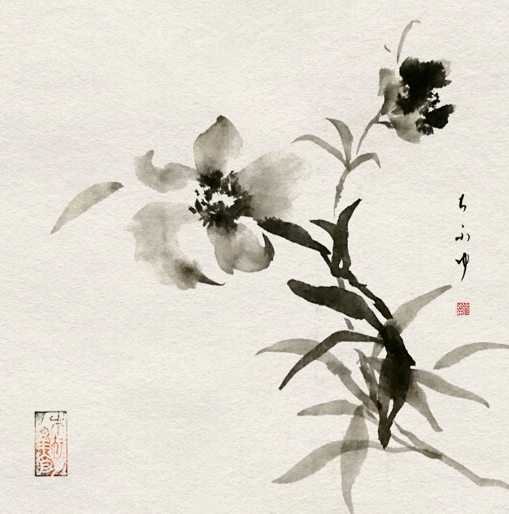 黒木千冬 墨一輪 墨で描く 一輪の花 本日は ラナンキュラス 水墨画 墨絵 花 イラスト 絵描きさんと繋がりたい 創作 アナログ絵 絵 スケッチ Art Painting Artwork 書道 黒木千冬 墨一輪 墨で描く 一輪の花 本日は ラナンキュラス 水墨画 墨絵 花 イラスト 絵描きさんと繋がりたい 創作 アナログ絵 絵 スケッチ Art Painting Artwork 書道