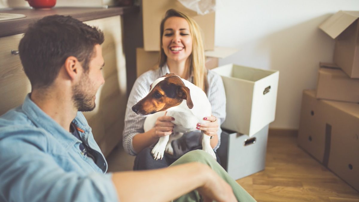 MyWealthSol's tweet photo. Buying your first home can feel like an impossible challenge, especially in today's property market. But there are still steps you can take to ensure you're on track to achieve this important milestone. And we're here to help you take them. Learn more: https://t.co/JCklB4LPw2 https://t.co/5e1MI3brMD