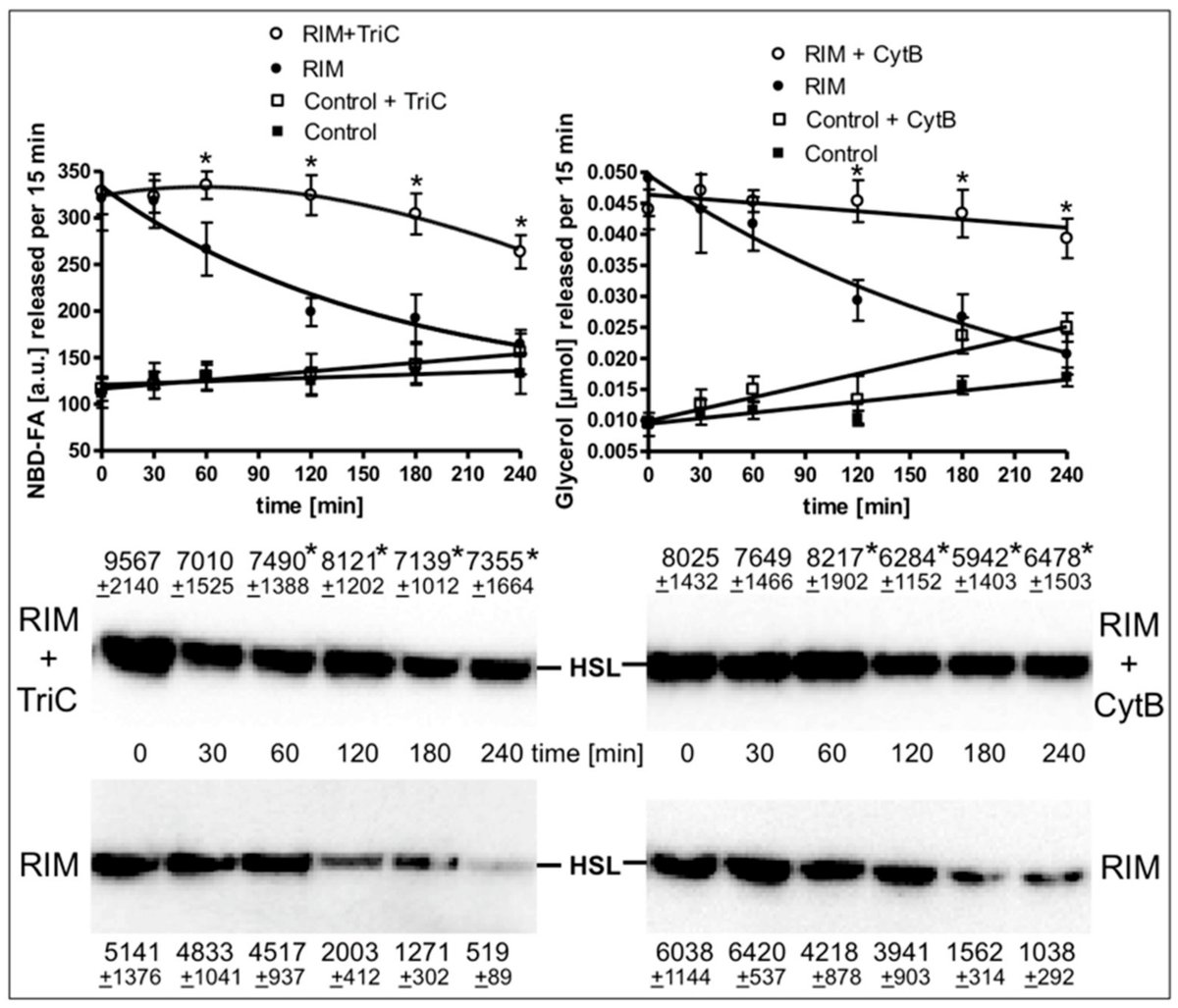 Molecules_MDPI's tweet photo. #RecommendedPaper #HighlyAccessedPaper
CB1 Receptor-Dependent and Independent Induction of Lipolysis in Primary Rat #Adipocytes by the Inverse Agonist Rimonabant (SR141716A)
By: Günter A. Müller, et al.
👉https://t.co/Duk8AxIczq
📌#cAMPsignaling #cannabinoid #hormone #obesity https://t.co/pA4hHWsUDL
