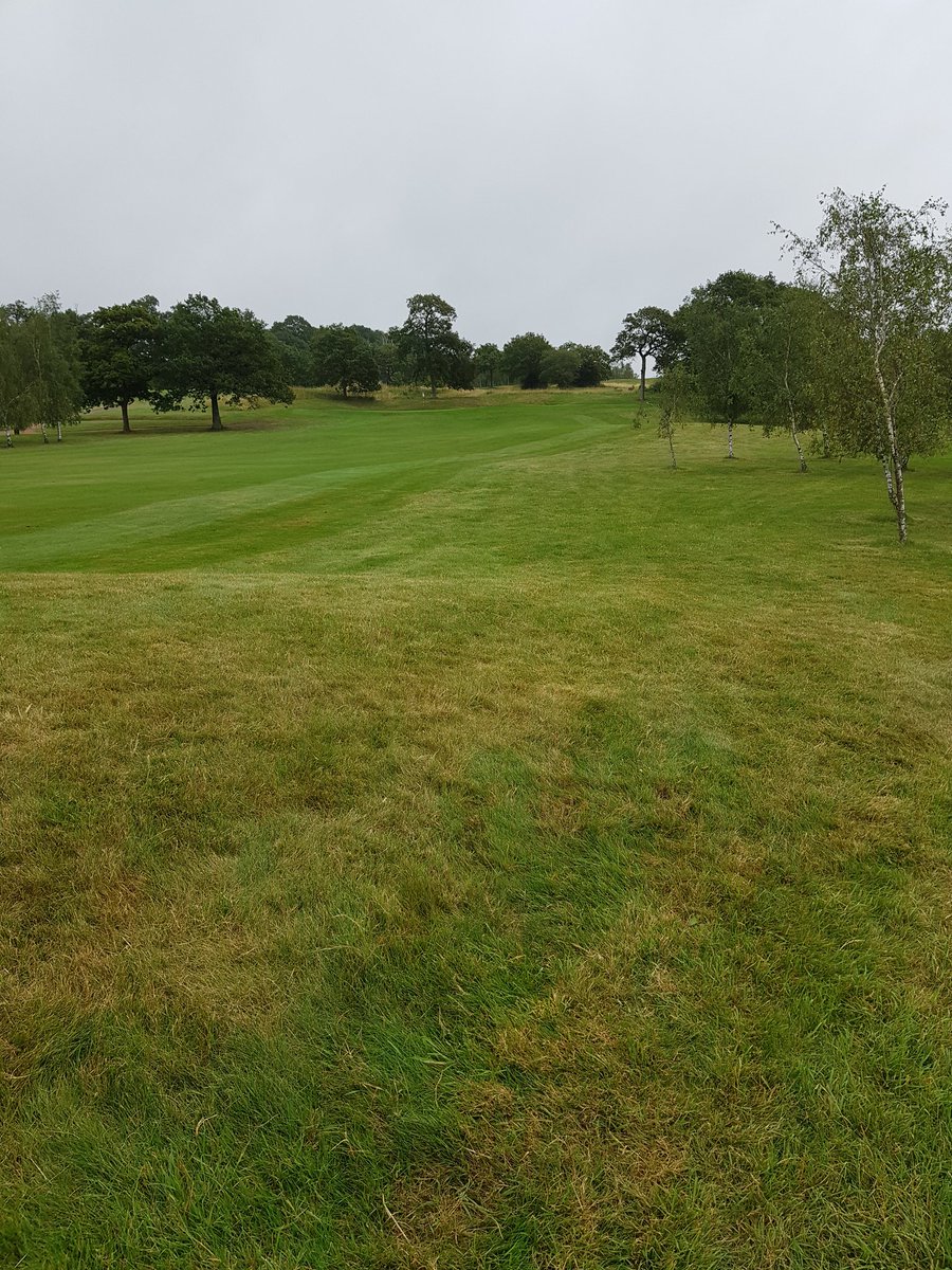 AMGolfMindCoach's tweet photo. A little walk out 😊.
Today's office @StudleyWoodGolf https://t.co/HvO1H5g7Zx
