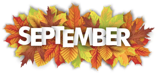 Eric_Haworth's tweet photo. Come and join us for songs, conversations and quizzes. 
They all run on Thursdays from 10.30  - 11.30 am. 
Zoom Meeting

https://t.co/4v1sACLVTa
Meeting ID: 649 261 0072

2nd September  Popular Hymns: 9th  Abba- 16th Musicals 23rd  Country Western Stars!  30th Transport - https://t.co/aD4FHkQbkU